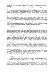 www.speros.lt